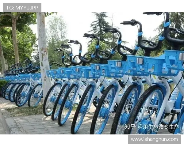 南京排球队防守革新之路探索与实践的深度剖析与启示