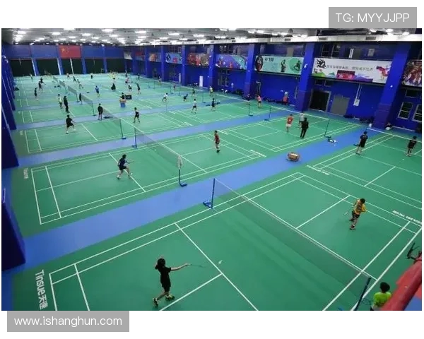 武汉羽毛球队在羽毛球比赛中经验排名创新高展现实力与潜力