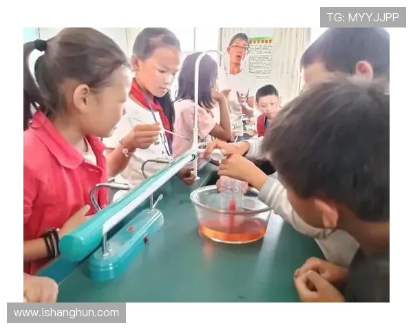 深圳飞盘队的心理素质探讨与竞技表现的关系分析