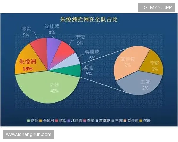 聚焦排球技术探讨：北京排球队的训练与战术分析