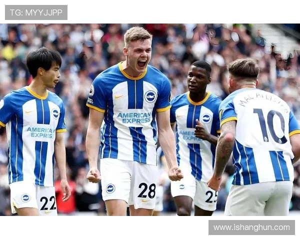 2018年12月16日布莱顿主场迎战切尔西精彩赛事回顾与分析