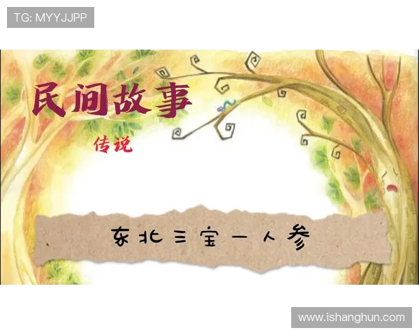 安养人参与仁川大象的奇妙对话与文化交融探秘