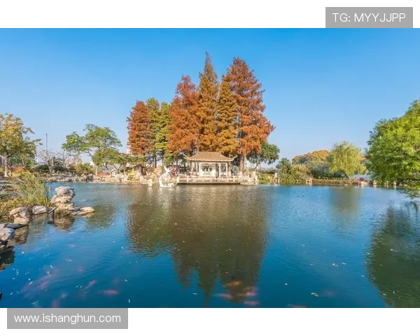 探索阿拉巴的文化魅力与自然风光之旅,感受独特的历史与现代交融