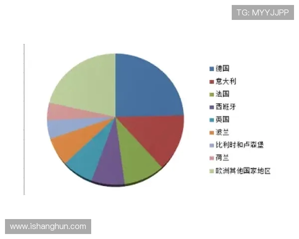 荷兰公司与德国公司在创新与市场竞争中的优势与挑战分析