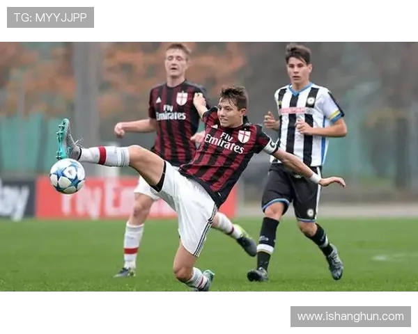 英超激战纽卡主场迎战西布朗全力争胜展现强队风范