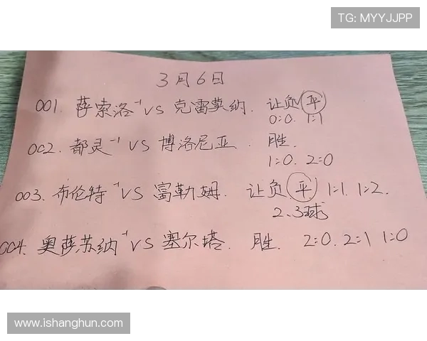 萨索洛与都灵比赛因天气原因延期球迷期待新赛程安排