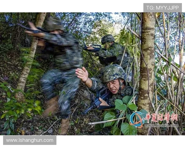 南京攀岩队进攻战术解析与实战应用的深度分析