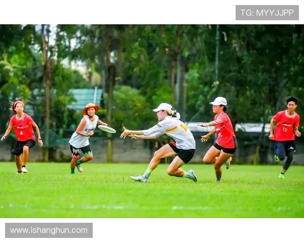 广州飞盘队状态分析：聚焦飞盘运动的热潮与挑战