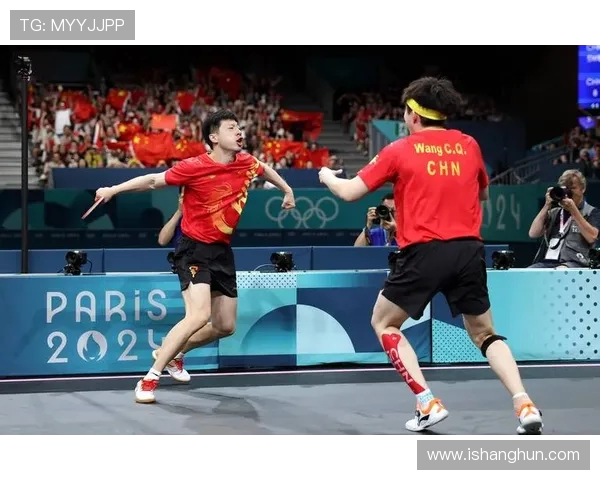 乒乓球团队协作实力榜单揭晓深圳乒乓球队荣获第五名佳绩