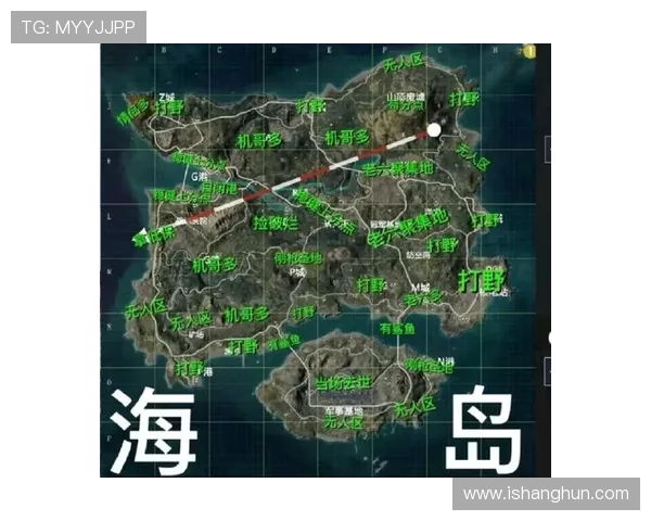 和平精英战队LNG的战术速度分析与策略探讨