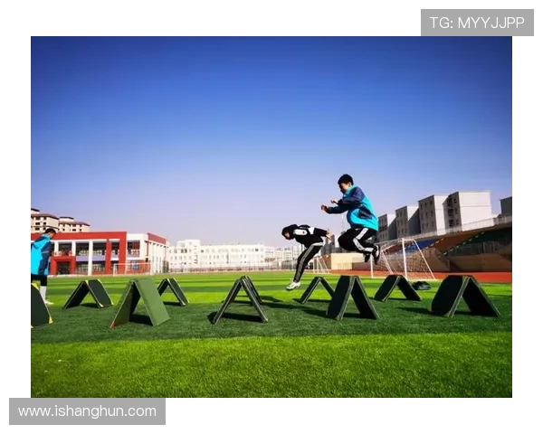 杨强专访：从绿茵场到人生舞台的足球旅程回顾与展望