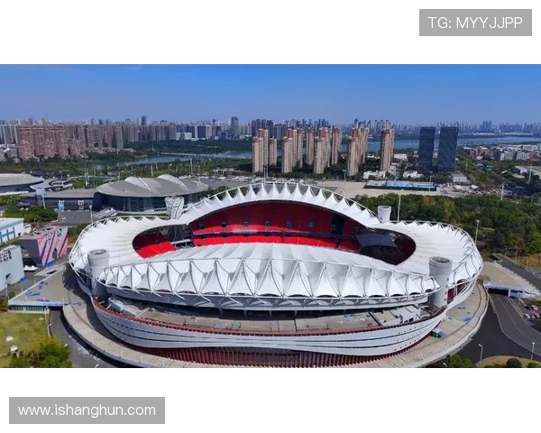 武汉乒乓球队运营模式解析与发展前景探讨